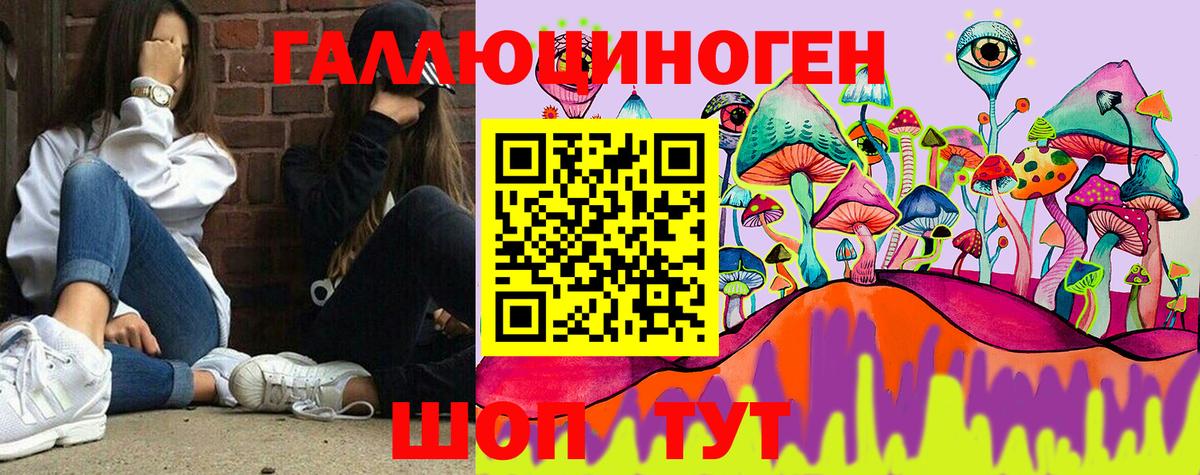 Псилоцибиновые грибы Psilocybine cubensis  Галлюциногенные грибы мицелий  Вход с VPN  Гуково 