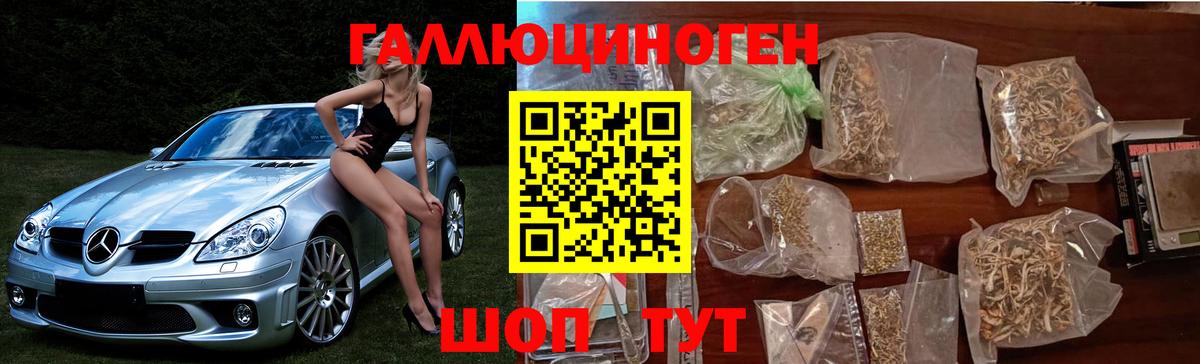 Галлюциногенные грибы мухоморы Гуково